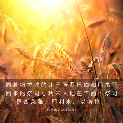 Picture 03 - 尼 希 米 记 12:1 CUVS - 同 着 撒 拉 铁 的 儿 子 所 罗 巴 伯 - Bible Verse Picture