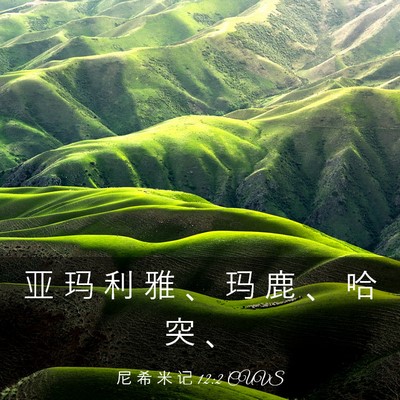 Picture 03 - 尼 希 米 记 12:2 CUVS - 亚 玛 利 雅 、 玛 鹿 、 哈 突 - Bible Verse Picture