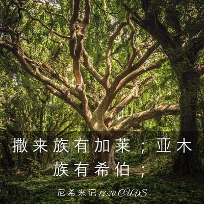 Picture 03 - 尼 希 米 记 12:20 CUVS - 撒 来 族 有 加 莱 ； 亚 木 族 有 希 - Bible Verse Picture