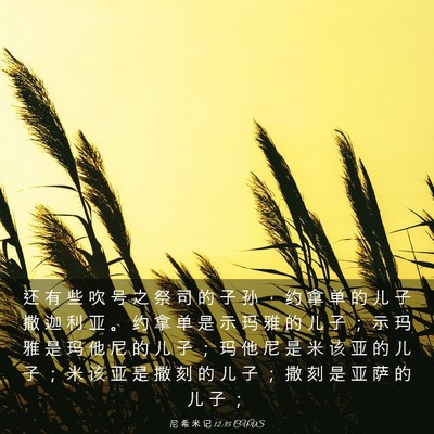Picture 03 - 尼 希 米 记 12:35 CUVS - 还 有 些 吹 号 之 祭 司 的 子 孙 ， - Bible Verse Picture