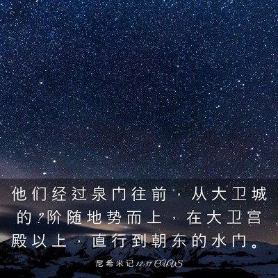 Picture 03 - 尼 希 米 记 12:37 CUVS - 他 们 经 过 泉 门 往 前 ， 从 大 卫 - Bible Verse Picture