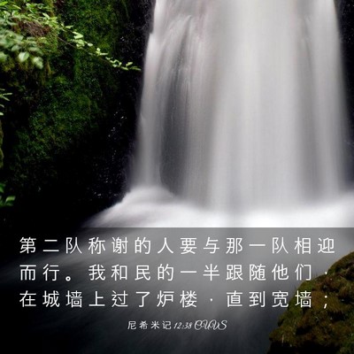Picture 03 - 尼 希 米 记 12:38 CUVS - 第 二 队 称 谢 的 人 要 与 那 一 队 - Bible Verse Picture