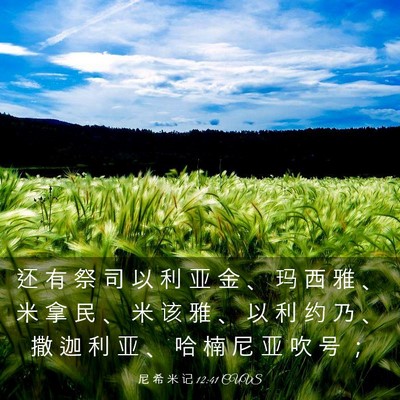 Picture 03 - 尼 希 米 记 12:41 CUVS - 还 有 祭 司 以 利 亚 金 、 玛 西 雅 - Bible Verse Picture