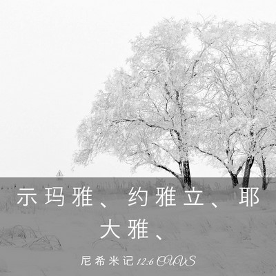 Picture 03 - 尼 希 米 记 12:6 CUVS - 示 玛 雅 、 约 雅 立 、 耶 大 雅 - Bible Verse Picture