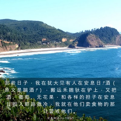 Picture 03 - 尼 希 米 记 13:15 CUVS - 那 些 日 子 ， 我 在 犹 大 见 有 人 - Bible Verse Picture