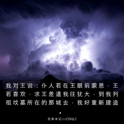 Picture 03 - 尼 希 米 记 2:5 CUVS - 我 对 王 说 ： 仆 人 若 在 王 眼 前 - Bible Verse Picture