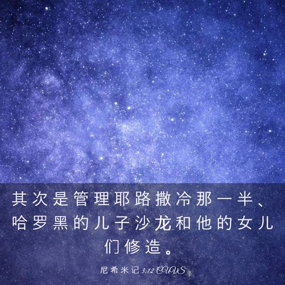 Picture 03 - 尼 希 米 记 3:12 CUVS - 其 次 是 管 理 耶 路 撒 冷 那 一 半 - Bible Verse Picture