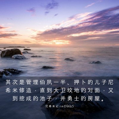 Picture 03 - 尼 希 米 记 3:16 CUVS - 其 次 是 管 理 伯 夙 一 半 、 押 卜 - Bible Verse Picture