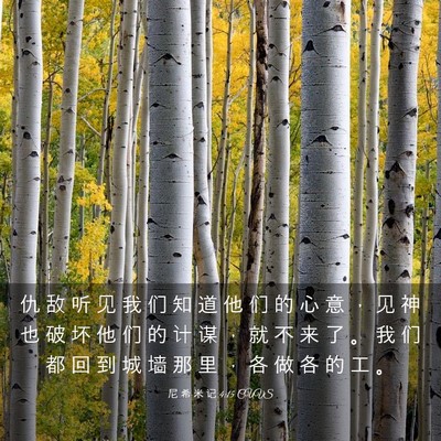 Picture 03 - 尼 希 米 记 4:15 CUVS - 仇 敌 听 见 我 们 知 道 他 们 的 心 - Bible Verse Picture