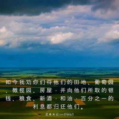 Picture 03 - 尼 希 米 记 5:11 CUVS - 如 今 我 劝 你 们 将 他 们 的 田 地 - Bible Verse Picture