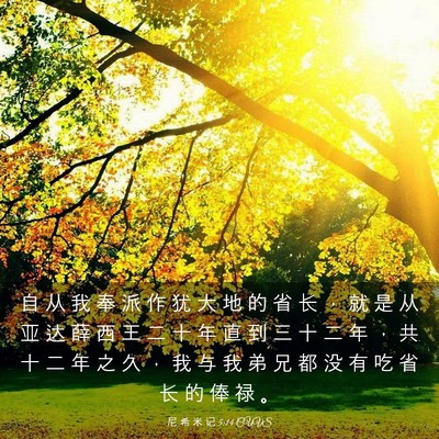 Picture 03 - 尼 希 米 记 5:14 CUVS - 自 从 我 奉 派 作 犹 大 地 的 省 长 - Bible Verse Picture