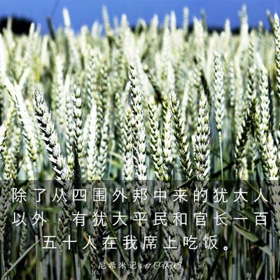 Picture 03 - 尼 希 米 记 5:17 CUVS - 除 了 从 四 围 外 邦 中 来 的 犹 大 - Bible Verse Picture