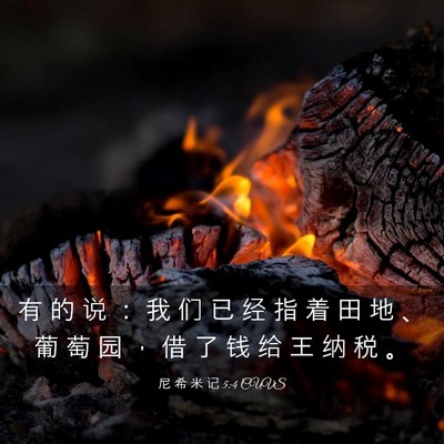 Picture 03 - 尼 希 米 记 5:4 CUVS - 有 的 说 ： 我 们 已 经 指 着 田 地 - Bible Verse Picture