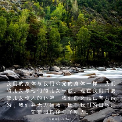Picture 03 - 尼 希 米 记 5:5 CUVS - 我 们 的 身 体 与 我 们 弟 兄 的 身 - Bible Verse Picture