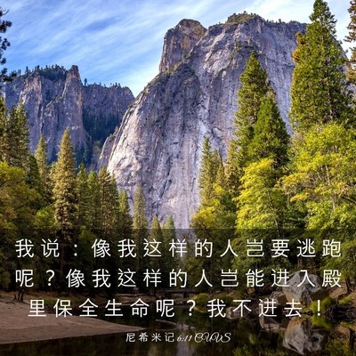 Picture 03 - 尼 希 米 记 6:11 CUVS - 我 说 ： 像 我 这 样 的 人 岂 要 逃 - Bible Verse Picture