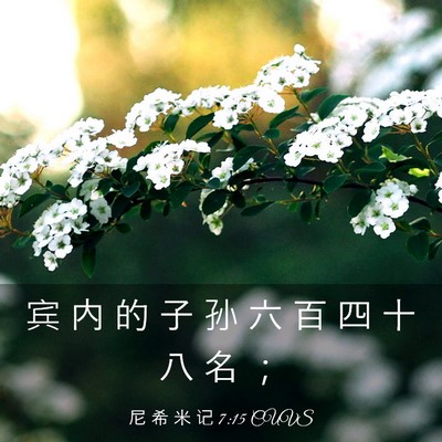 Picture 03 - 尼 希 米 记 7:15 CUVS - 宾 内 的 子 孙 六 百 四 十 八 名 - Bible Verse Picture