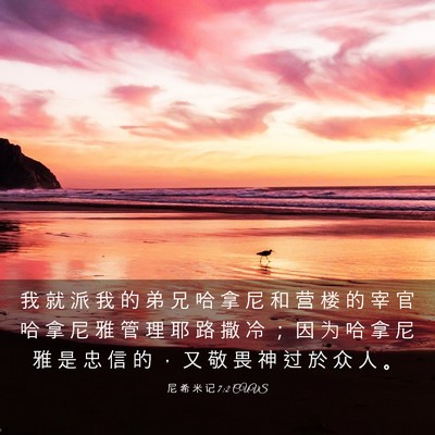 Picture 03 - 尼 希 米 记 7:2 CUVS - 我 就 派 我 的 弟 兄 哈 拿 尼 和 营 - Bible Verse Picture