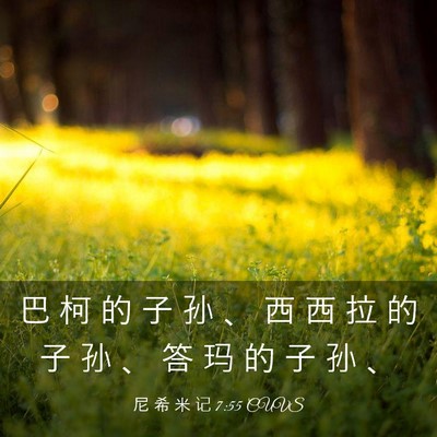 Picture 03 - 尼 希 米 记 7:55 CUVS - 巴 柯 的 子 孙 、 西 西 拉 的 子 孙 - Bible Verse Picture