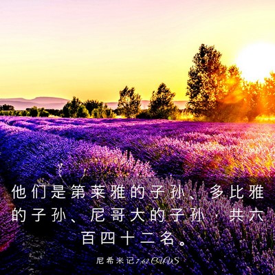 Picture 03 - 尼 希 米 记 7:62 CUVS - 他 们 是 第 莱 雅 的 子 孙 、 多 比 - Bible Verse Picture