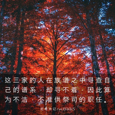 Picture 03 - 尼 希 米 记 7:64 CUVS - 这 三 家 的 人 在 族 谱 之 中 寻 查 - Bible Verse Picture