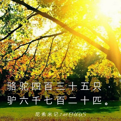 Picture 03 - 尼 希 米 记 7:69 CUVS - 骆 驼 四 百 三 十 五 只 ， 驴 六 千 - Bible Verse Picture