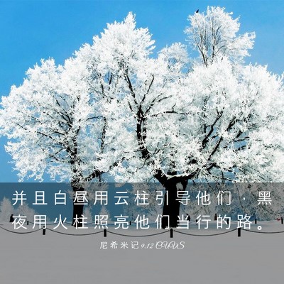 Picture 03 - 尼 希 米 记 9:12 CUVS - 并 且 白 昼 用 云 柱 引 导 他 们 ， - Bible Verse Picture