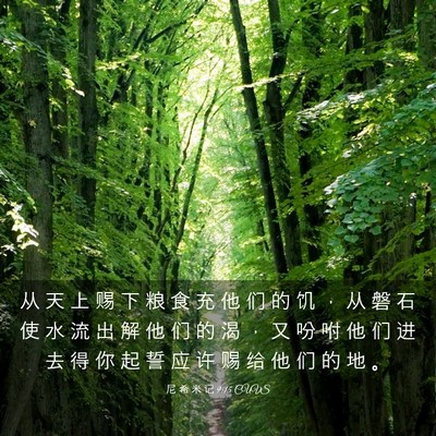 Picture 03 - 尼 希 米 记 9:15 CUVS - 从 天 上 赐 下 粮 食 充 他 们 的 饥 - Bible Verse Picture