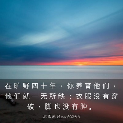 Picture 03 - 尼 希 米 记 9:21 CUVS - 在 旷 野 四 十 年 ， 你 养 育 他 们 - Bible Verse Picture