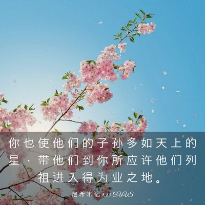 Picture 03 - 尼 希 米 记 9:23 CUVS - 你 也 使 他 们 的 子 孙 多 如 天 上 - Bible Verse Picture