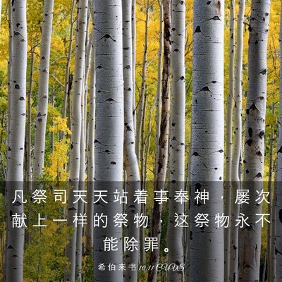 Picture 03 - 希 伯 来 书 10:11 CUVS - 凡 祭 司 天 天 站 着 事 奉 神 ， 屡 - Bible Verse Picture