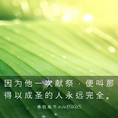 Picture 03 - 希 伯 来 书 10:14 CUVS - 因 为 他 一 次 献 祭 ， 便 叫 那 得 - Bible Verse Picture