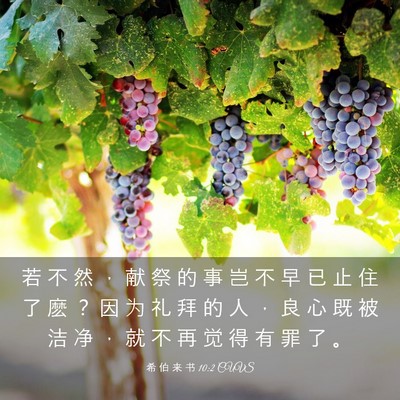 Picture 03 - 希 伯 来 书 10:2 CUVS - 若 不 然 ， 献 祭 的 事 岂 不 早 已 - Bible Verse Picture