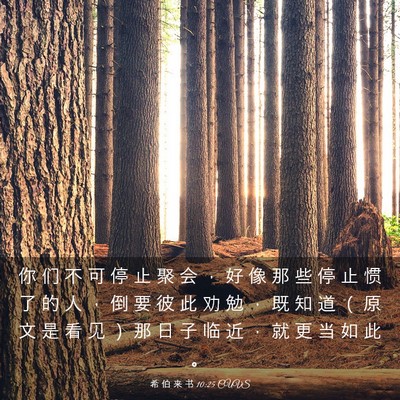 Picture 03 - 希 伯 来 书 10:25 CUVS - 你 们 不 可 停 止 聚 会 ， 好 像 那 - Bible Verse Picture