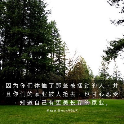 Picture 03 - 希 伯 来 书 10:34 CUVS - 因 为 你 们 体 恤 了 那 些 被 捆 锁 - Bible Verse Picture