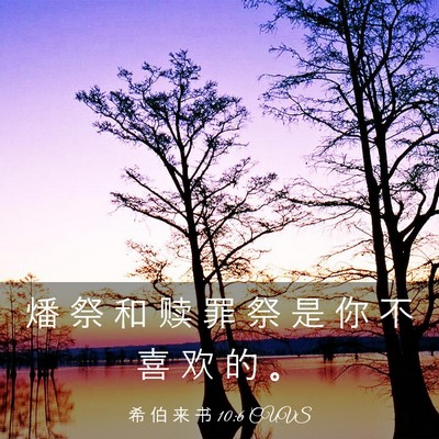 Picture 03 - 希 伯 来 书 10:6 CUVS - 燔 祭 和 赎 罪 祭 是 你 不 喜 欢 的 - Bible Verse Picture
