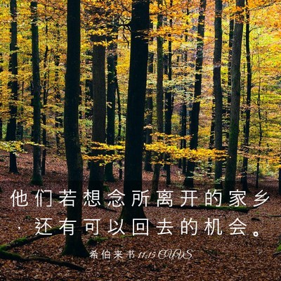 Picture 03 - 希 伯 来 书 11:15 CUVS - 他 们 若 想 念 所 离 开 的 家 乡 ， - Bible Verse Picture