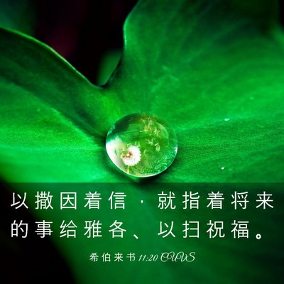 Picture 03 - 希 伯 来 书 11:20 CUVS - 以 撒 因 着 信 ， 就 指 着 将 来 的 - Bible Verse Picture