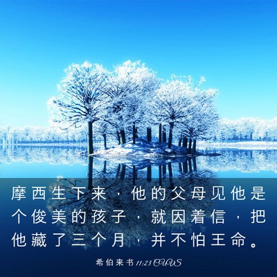 Picture 03 - 希 伯 来 书 11:23 CUVS - 摩 西 生 下 来 ， 他 的 父 母 见 他 - Bible Verse Picture