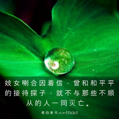 Picture 03 - 希 伯 来 书 11:31 CUVS - 妓 女 喇 合 因 着 信 ， 曾 和 和 平 - Bible Verse Picture