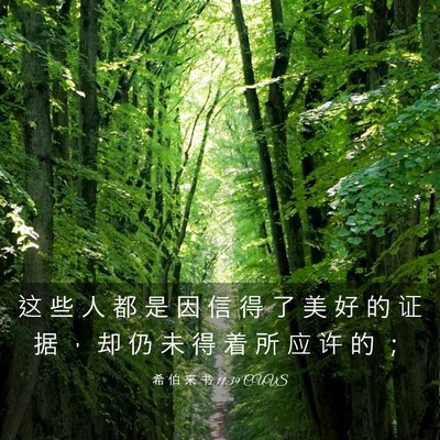 Picture 03 - 希 伯 来 书 11:39 CUVS - 这 些 人 都 是 因 信 得 了 美 好 的 - Bible Verse Picture