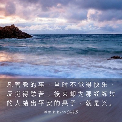 Picture 03 - 希 伯 来 书 12:11 CUVS - 凡 管 教 的 事 ， 当 时 不 觉 得 快 - Bible Verse Picture