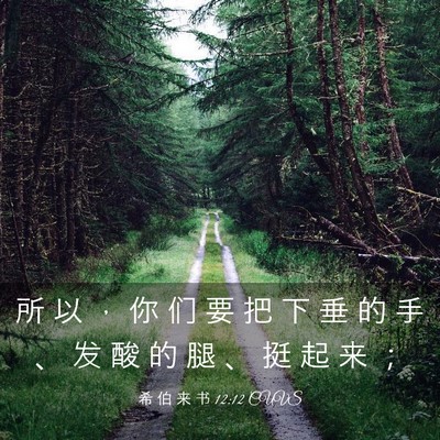 Picture 03 - 希 伯 来 书 12:12 CUVS - 所 以 ， 你 们 要 把 下 垂 的 手 、 - Bible Verse Picture