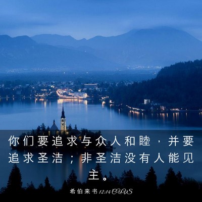 Picture 03 - 希 伯 来 书 12:14 CUVS - 你 们 要 追 求 与 众 人 和 睦 ， 并 - Bible Verse Picture
