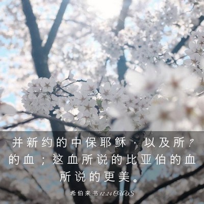 Picture 03 - 希 伯 来 书 12:24 CUVS - 并 新 约 的 中 保 耶 稣 ， 以 及 所 ? - Bible Verse Picture