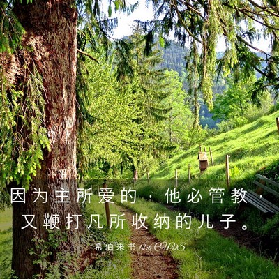 Picture 03 - 希 伯 来 书 12:6 CUVS - 因 为 主 所 爱 的 ， 他 必 管 教 ， - Bible Verse Picture