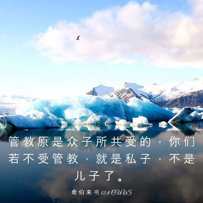 Picture 03 - 希 伯 来 书 12:8 CUVS - 管 教 原 是 众 子 所 共 受 的 ， 你 - Bible Verse Picture
