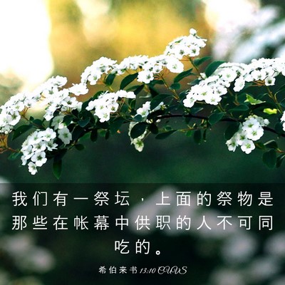 Picture 03 - 希 伯 来 书 13:10 CUVS - 我 们 有 一 祭 坛 ， 上 面 的 祭 物 - Bible Verse Picture