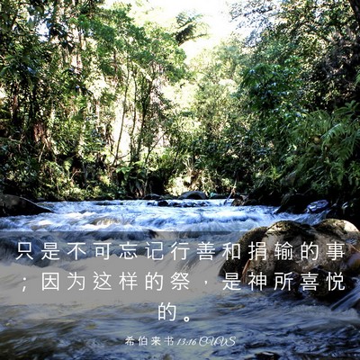 Picture 03 - 希 伯 来 书 13:16 CUVS - 只 是 不 可 忘 记 行 善 和 捐 输 的 - Bible Verse Picture