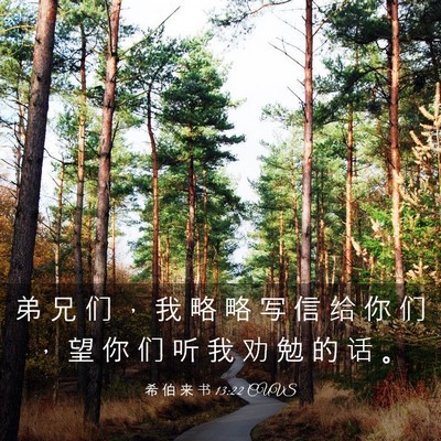 Picture 03 - 希 伯 来 书 13:22 CUVS - 弟 兄 们 ， 我 略 略 写 信 给 你 们 - Bible Verse Picture