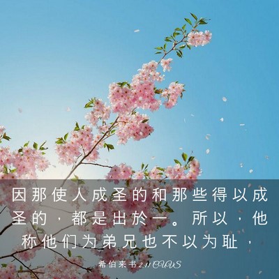 Picture 03 - 希 伯 来 书 2:11 CUVS - 因 那 使 人 成 圣 的 和 那 些 得 以 - Bible Verse Picture